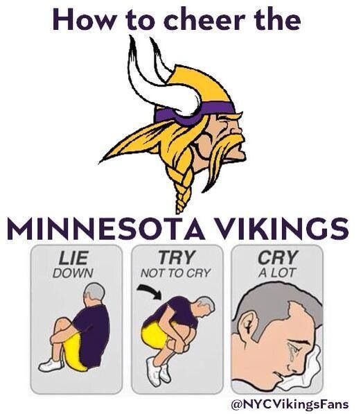Minnesota Vikings Jokes (More)