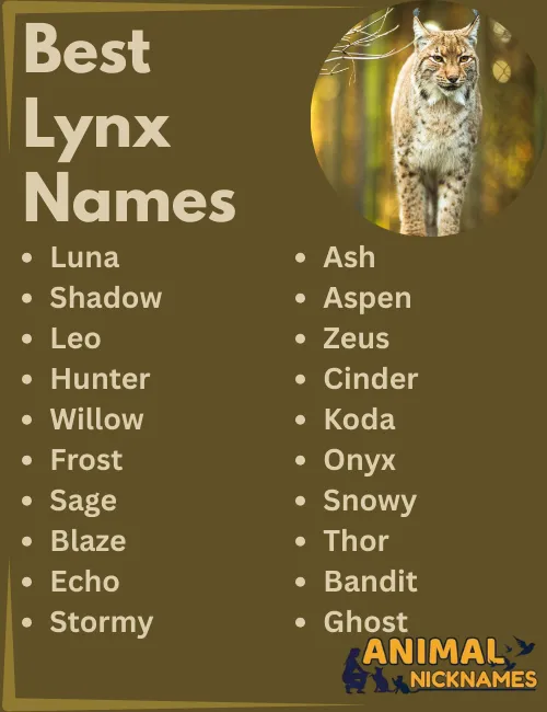 Lynx mascot name: Ideas? (Now!)