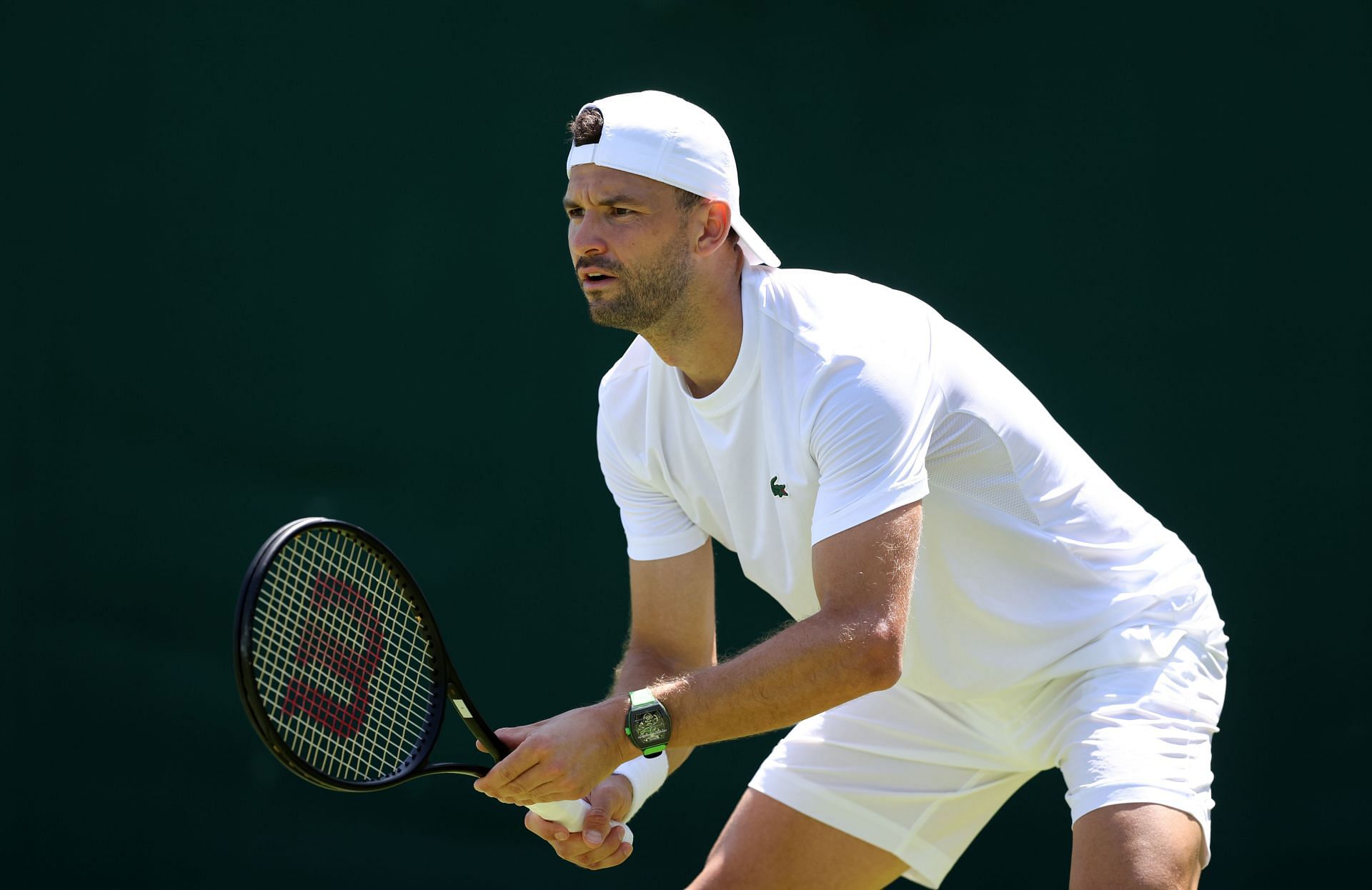 Dimitrov vs Stricker prediction what are the odds? Learn which player has the edge in this contest!