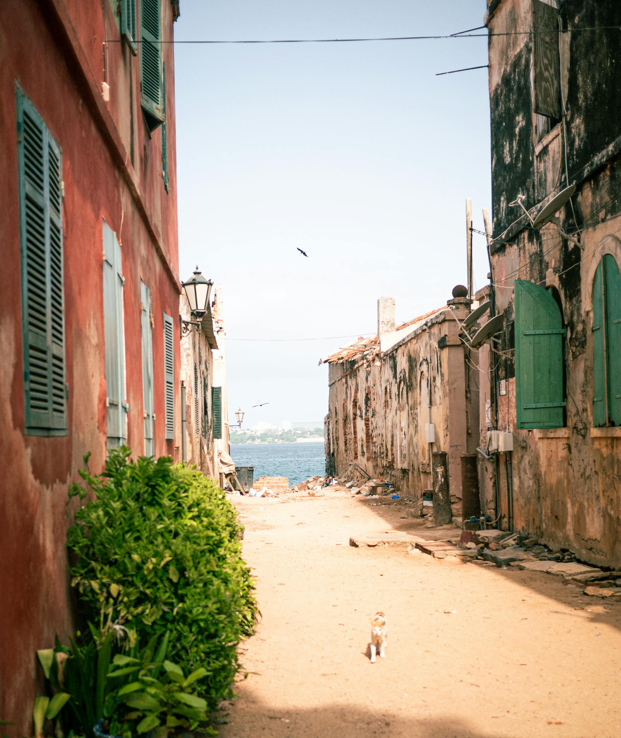 Planning your first trip to Dakar Corniche soon? Use these helpful suggestions for a smooth and really fun day out!