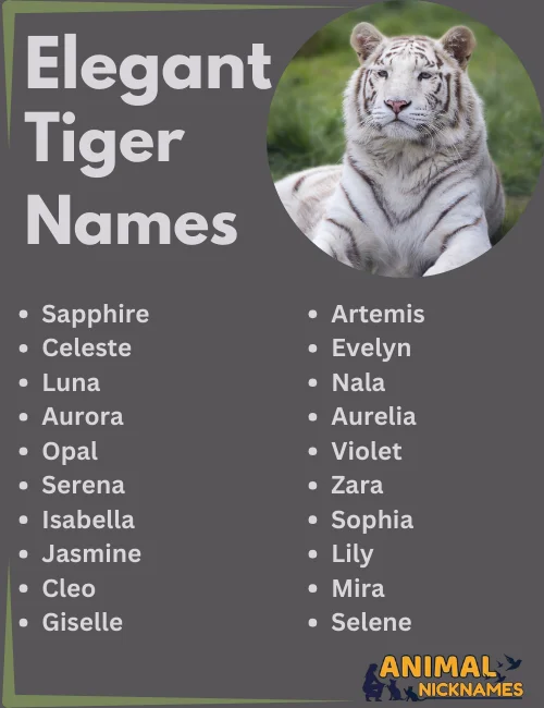 Want cool female tiger names? Get inspired by these awesome and memorable choices right now!
