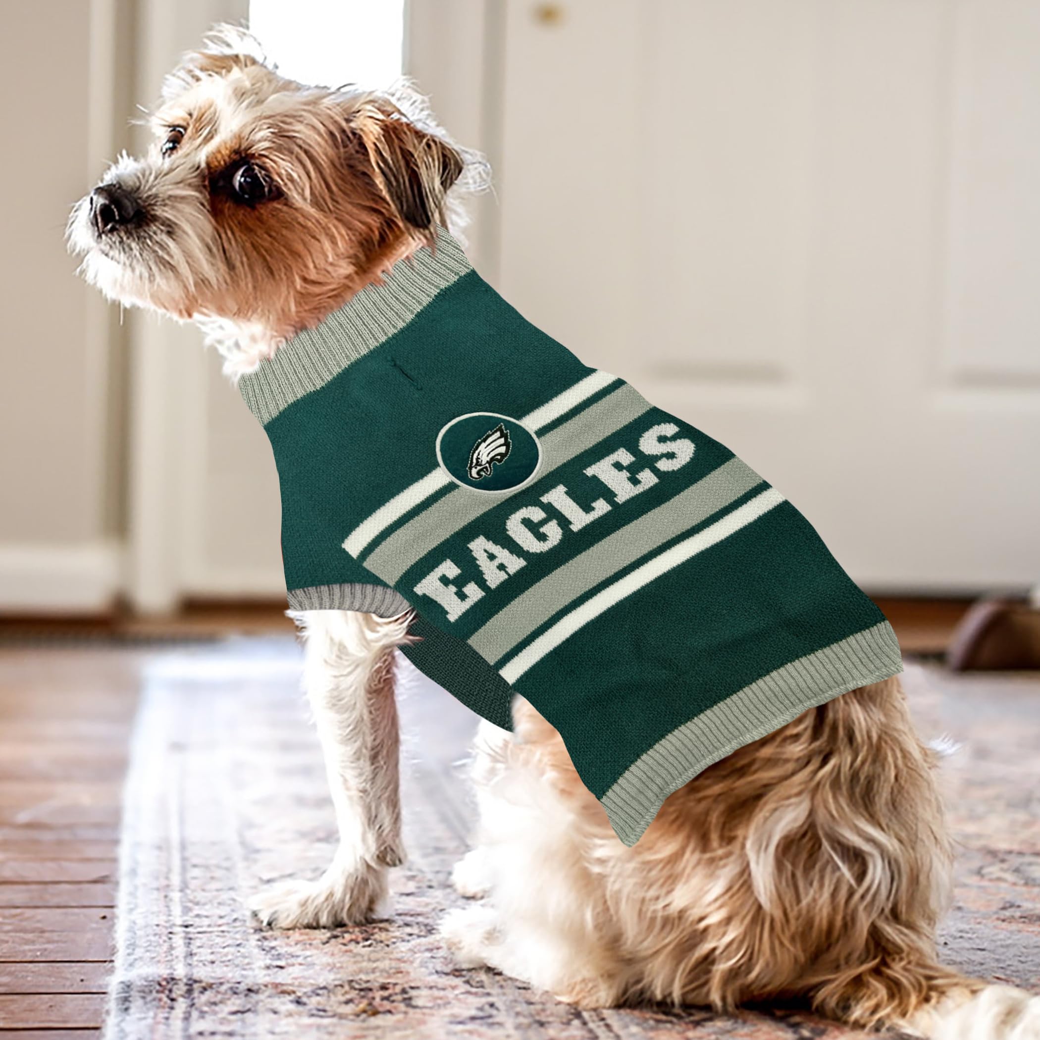 Is your nfl dog hoodie the right size? Simple tips to ensure a comfy fit for your dog.