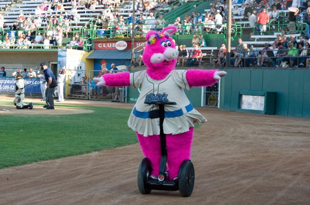 Thinking of getting a baseball mascot costume? (Heres what you need to know first!)
