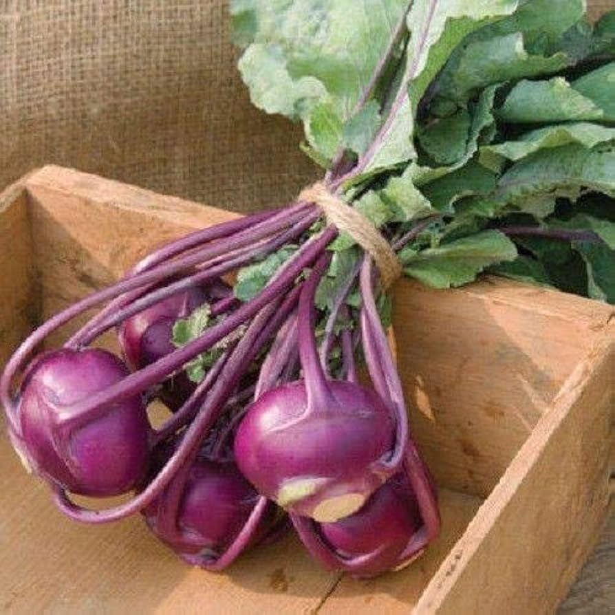 Kolibri f1 seeds for sale (Where to find the very best quality for all your home planting needs)