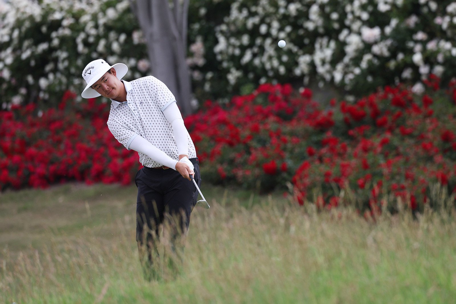 Who is Alex Yang golf? Discover the story of Alex Yang golf and his rise in the professional sport.